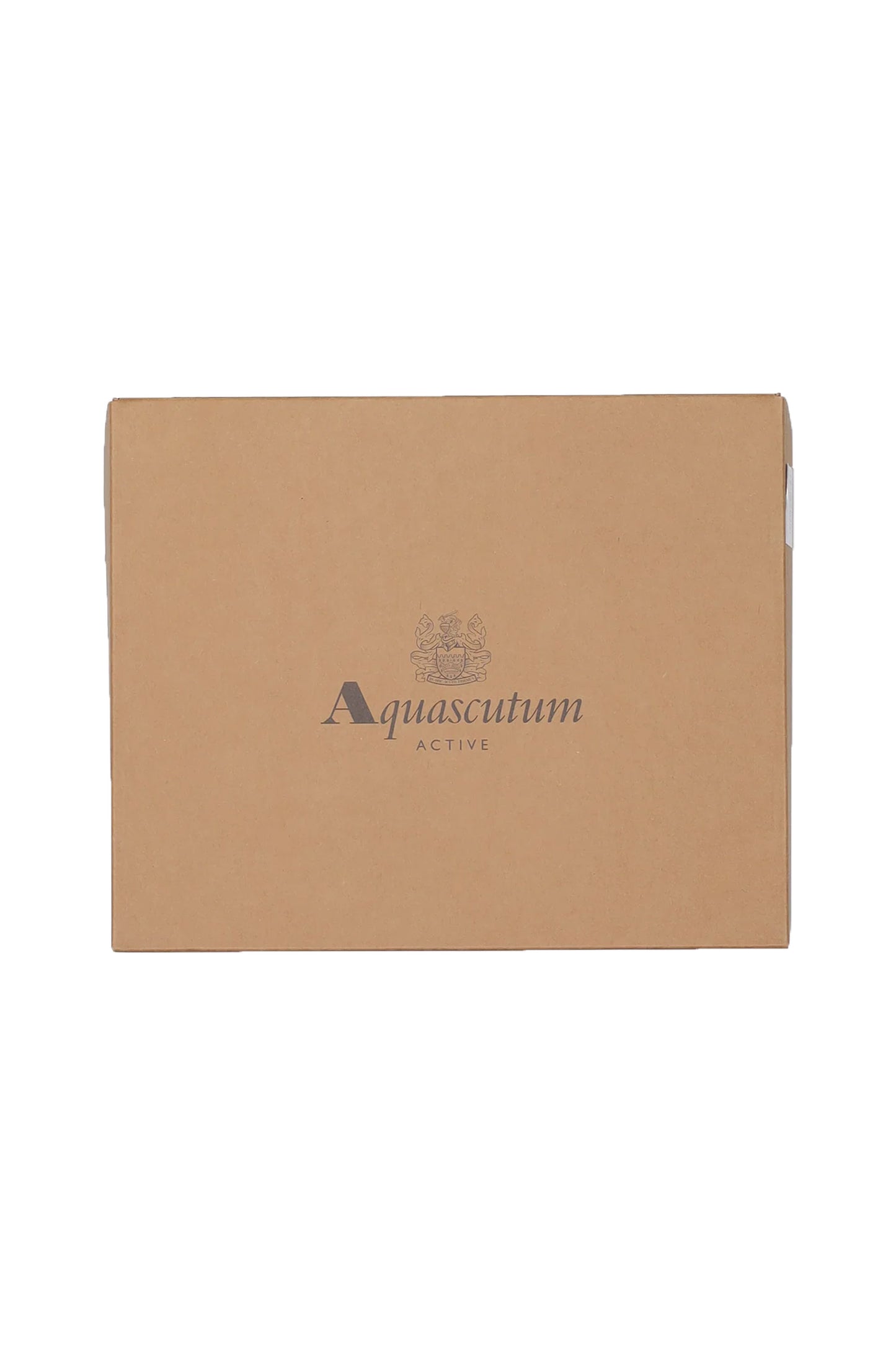 Aquascutum Club Check Scarf Large Club Check