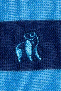 Swole Panda Bamboo Socks Sky Blue Striped Swole Panda