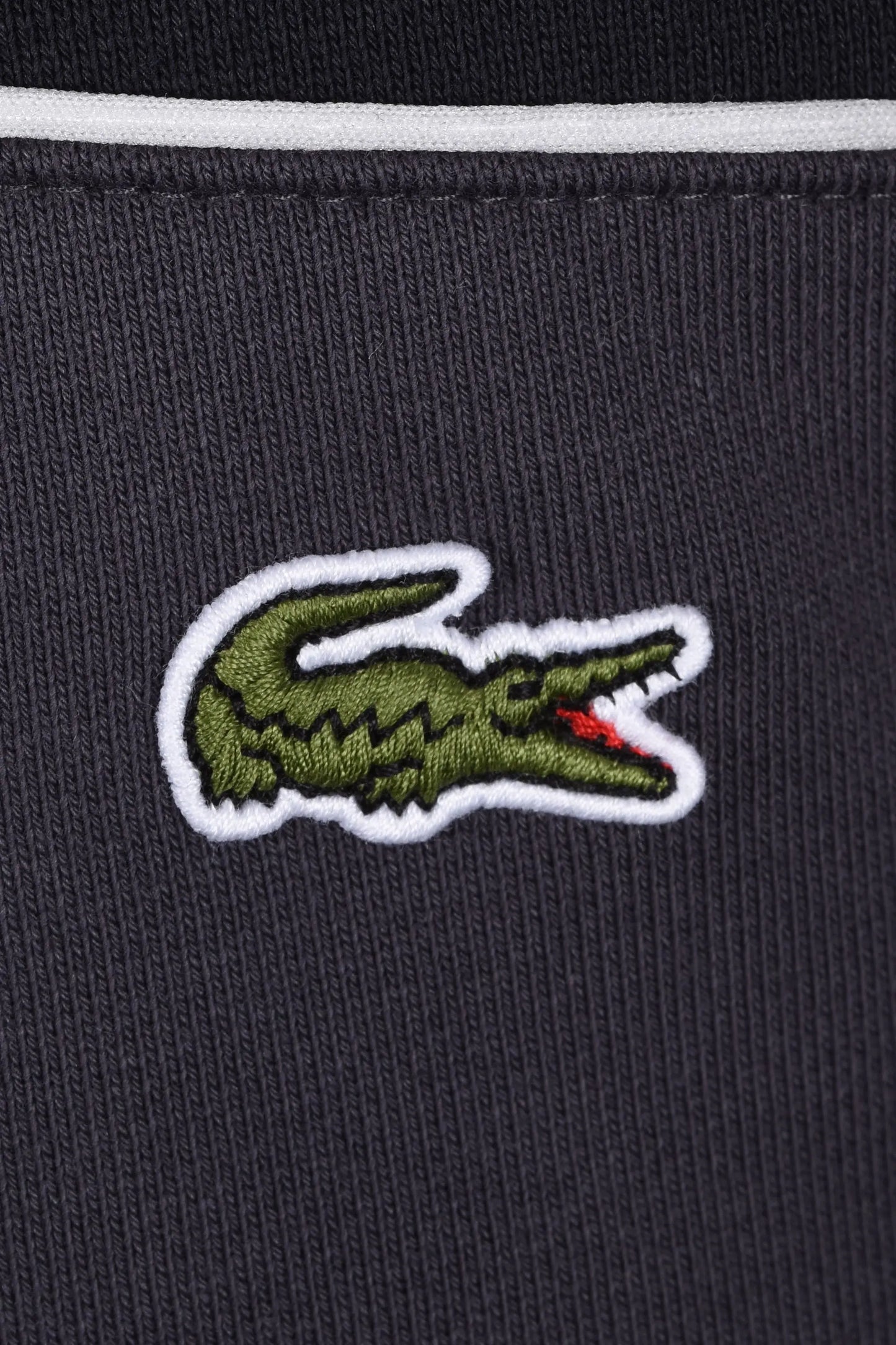 LACOSTE CREWNECK SWEATSHIRT BLACKBIRD/GRAPE Lacoste