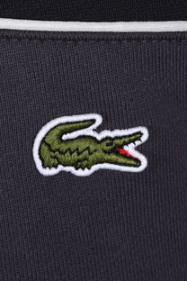 LACOSTE CREWNECK SWEATSHIRT BLACKBIRD/GRAPE Lacoste