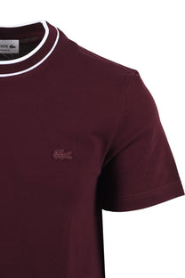 LACOSTE TEE SHIRT BURGUNDY Lacoste Michael Stewart Menswear  T-Shirts